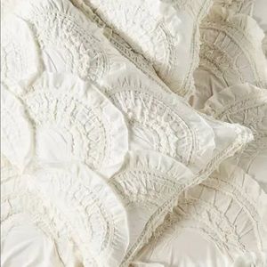 2 Anthropologie pillow shams